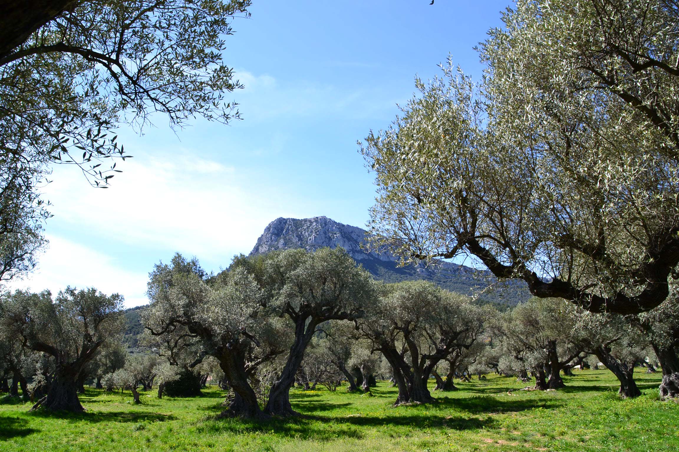 la farlede 2015 moulin du partegal credit oti vallee du gapeau 33
